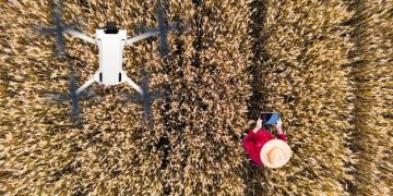 AgriTech Startup Spotlight: US Innovations Boosting Crop Yields by 10% in 2025 - Cover Image