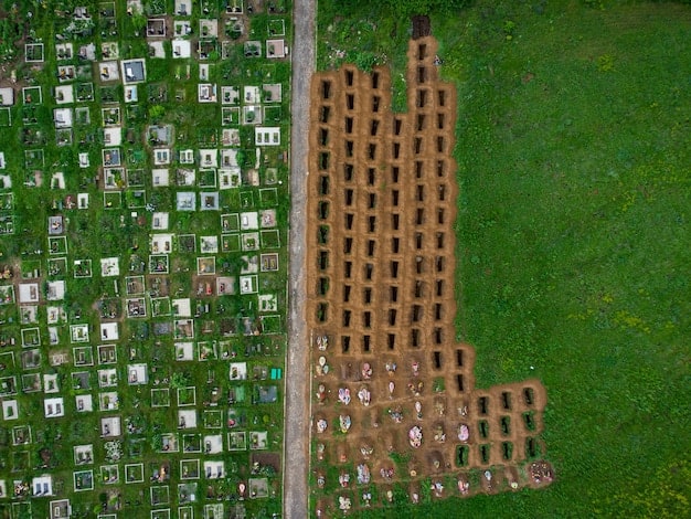 An aerial view of a vertical farm in an urban setting. The farm is housed in a modern, glass-enclosed structure, with rows of leafy green plants visible inside. The city skyline is in the background, emphasizing the integration of agriculture into the urban landscape. The lighting is bright and natural, showcasing the scale and efficiency of the operation.