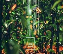 US Food Startups: Pioneering Plant-Based & Sustainable Agriculture - Cover Image
