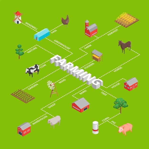 A schematic diagram illustrating the FDA and USDA regulatory approval pathways for cultivated meat, with arrows showing steps like cell line approval, facility inspection, and labeling.