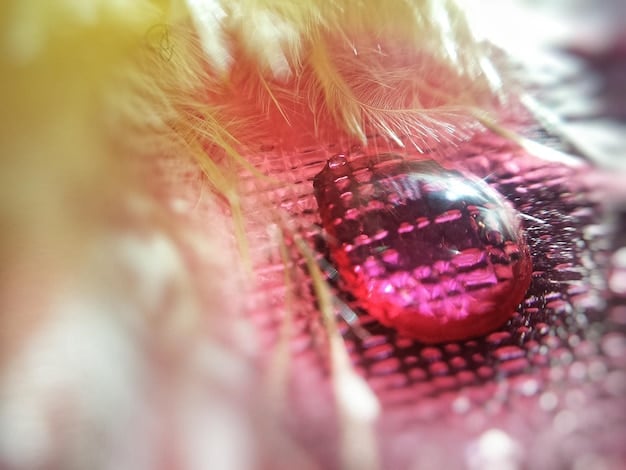 A schematic diagram illustrating a bio-chip with integrated nanosensors detecting disease biomarkers from a fluid sample, symbolizing microfluidic diagnostic advancements.