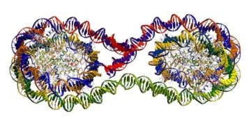 Synthetic Biology: Emerging US Applications Unveiled - Cover Image
