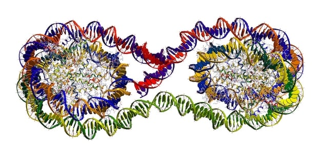 Synthetic Biology: Emerging US Applications Unveiled